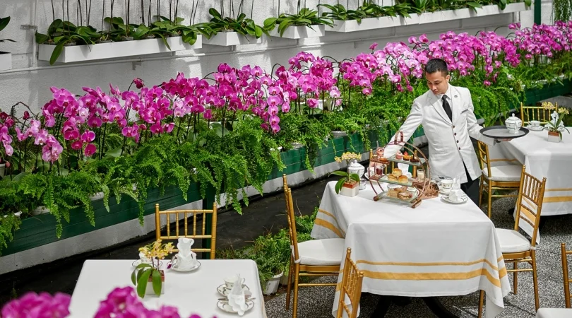 蘭に囲まれたラウンジ「オーキッド・コンサバトリー（Orchid Conservatory）